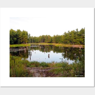 Beaver Pond Frontenac Provincial Park No.2 Posters and Art